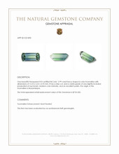 2.99 Ct. Tourmaline from Mozambique Appraisal