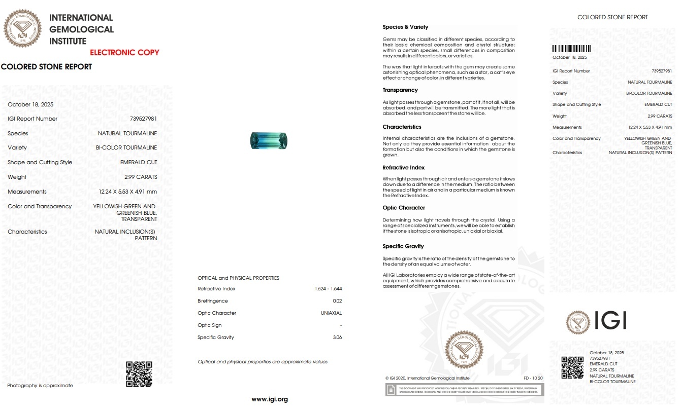 2.99 Ct. Tourmaline from Mozambique