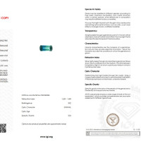 2.99 Ct. Tourmaline from Mozambique Scan Report