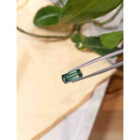 2.99 Ct. Tourmaline from Mozambique Life Style