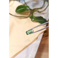 2.99 Ct. Tourmaline from Mozambique Life Style