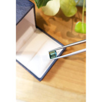 2.51 Ct. Tourmaline from Brazil Life Style