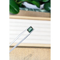 2.53 Ct. Tourmaline from Mozambique Life Style