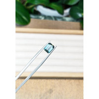 2.53 Ct. Tourmaline from Mozambique Life Style