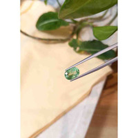 2.37 Ct. Paraiba Tourmaline from Nigeria Life Style