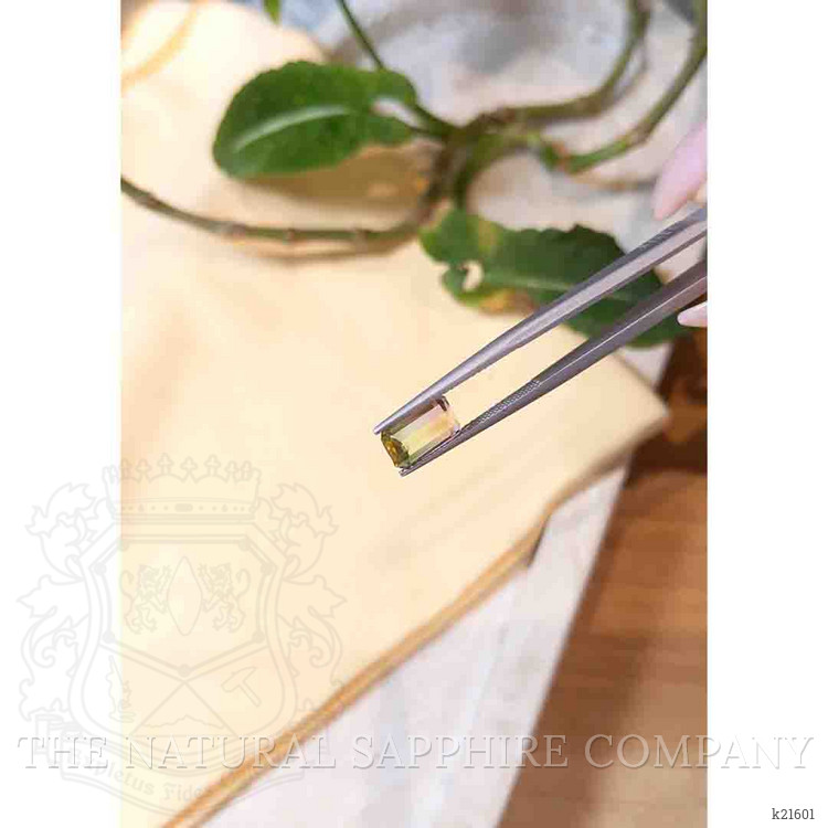 2.42 Ct. Tourmaline from Mozambique