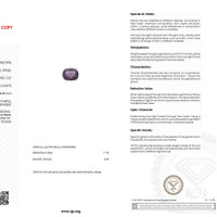 2.73 Ct. Spinel from Burma (Myanmar) Scan Report