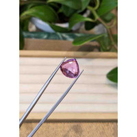 8.48 Ct. Tourmaline from Mozambique Life Style