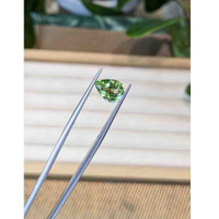 2.28 Ct. Tourmaline from Mozambique Life Style