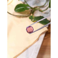 5.29 Ct. Tourmaline from Mozambique Life Style