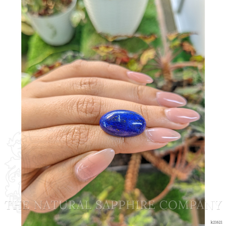 23.55 Ct. Cabochon Lapis from Afghanistan