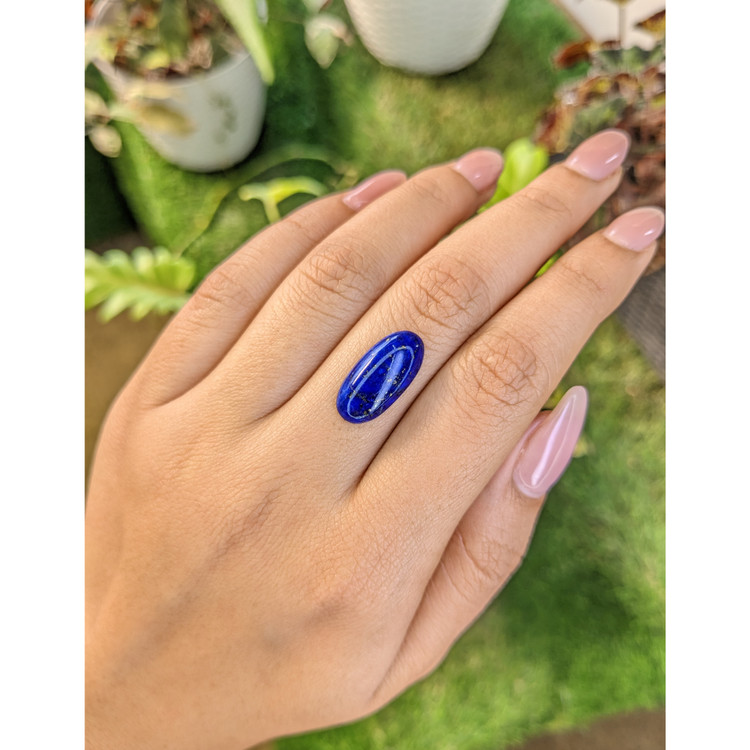 5.61 Ct. Cabochon Lapis from Afghanistan