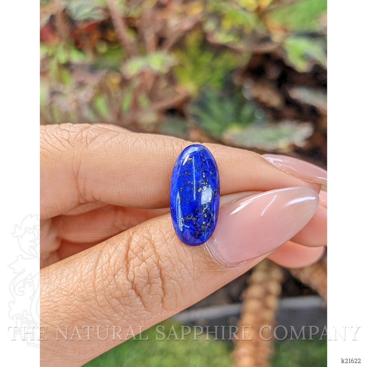 5.61 Ct. Cabochon Lapis from Afghanistan