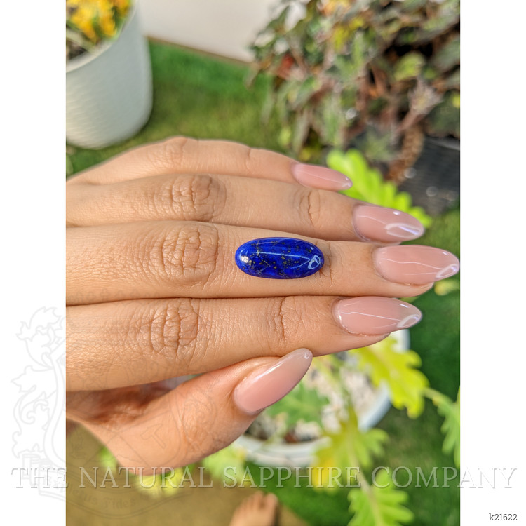 5.61 Ct. Cabochon Lapis from Afghanistan