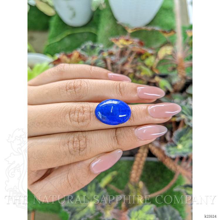 16.55 Ct. Cabochon Lapis from Afghanistan