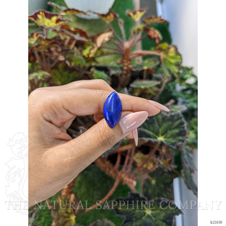 12.87 Ct. Cabochon Lapis from Afghanistan