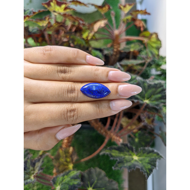 12.87 Ct. Cabochon Lapis from Afghanistan