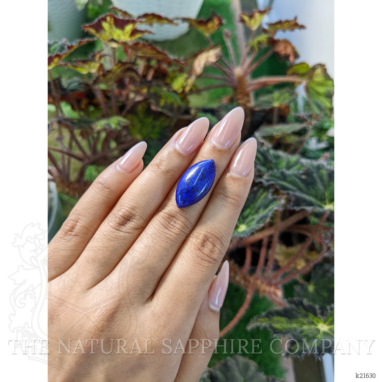 12.87 Ct. Cabochon Lapis from Afghanistan
