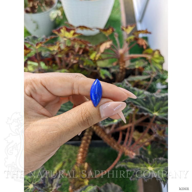 7.32 Ct. Cabochon Lapis from Afghanistan