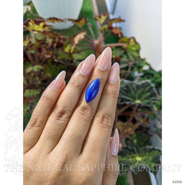 7.32 Ct. Cabochon Lapis from Afghanistan