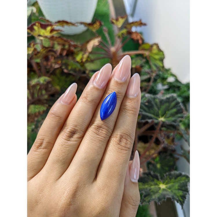 7.32 Ct. Cabochon Lapis from Afghanistan