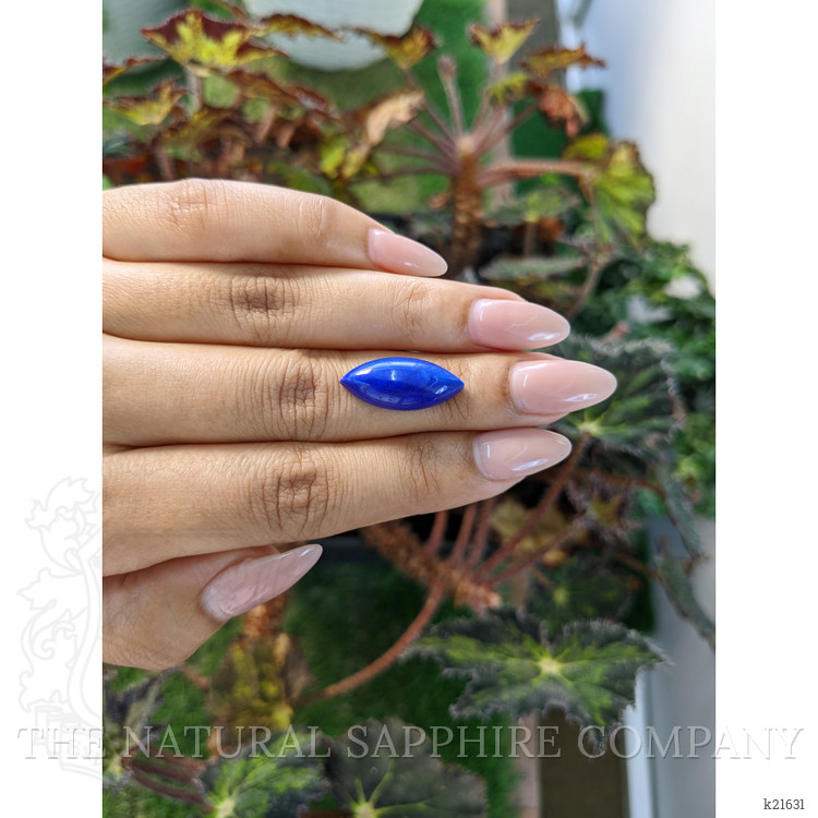 7.32 Ct. Cabochon Lapis from Afghanistan