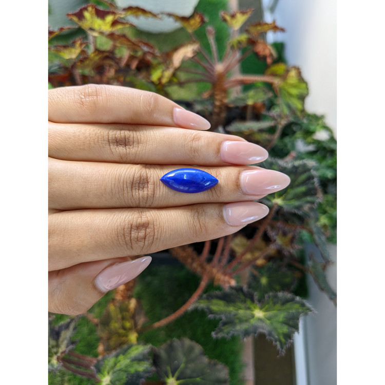 7.32 Ct. Cabochon Lapis from Afghanistan