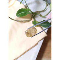 25.33 Ct. Cabochon Rutilated Quartz from Madagascar Life Style