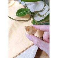 42.09 Ct. Cabochon Rutilated Quartz from Madagascar Life Style