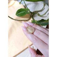 23.84 Ct. Cabochon Rutilated Quartz from Madagascar Life Style