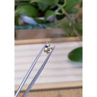 1.43 Ct. Heliodor from Pakistan Life Style