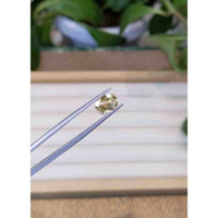 1.58 Ct. Heliodor from Pakistan Life Style