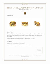 9.45 Ct. Imperial Topaz from Brazil Appraisal
