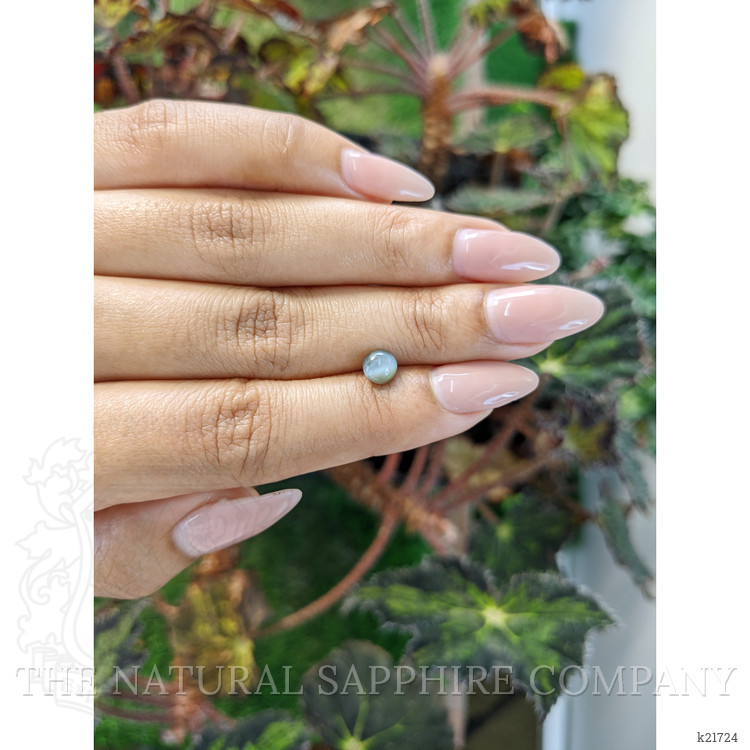 1.16 Ct. Cabochon Chrysoberyl from Ceylon (Sri Lanka)