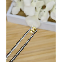 1.02 Ct. Zircon from Ceylon (Sri Lanka) Life Style