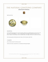 0.77 Ct. Yellow Zircon from Ceylon (Sri Lanka) Appraisal