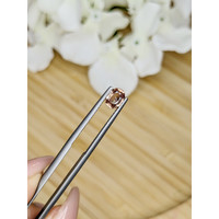 0.95 Ct. Zircon from Ceylon (Sri Lanka) Life Style