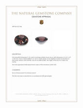 1.05 Ct. Pinkish Brown Zircon from Ceylon (Sri Lanka) Appraisal