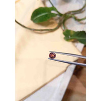 0.91 Ct. Tourmaline from Tanzania Life Style