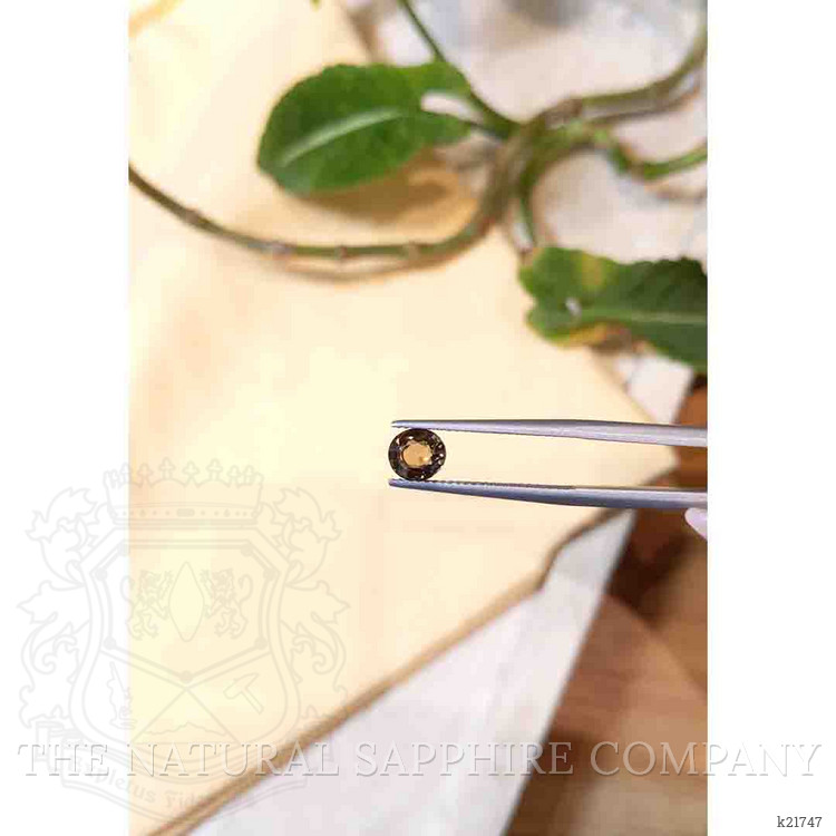 1.06 Ct. Brown Tourmaline from Tanzania