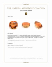 26.00 Ct. Reddish Orange Imperial Topaz from Brazil Appraisal