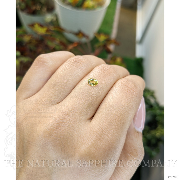 0.44 Ct. Zircon from Ceylon (Sri Lanka)