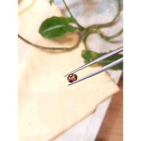 0.86 Ct. Tourmaline from Tanzania Life Style