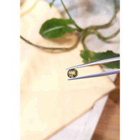 1.15 Ct. Tourmaline from Tanzania Life Style