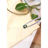 1.12 Ct. Tourmaline from Tanzania Life Style