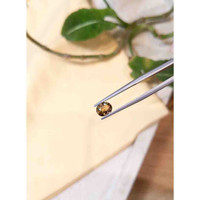 1.11 Ct. Tourmaline from Tanzania Life Style