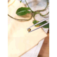 0.90 Ct. Tourmaline from Tanzania Life Style