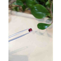 1.06 Ct. Rhodolite Garnet from Tanzania Life Style