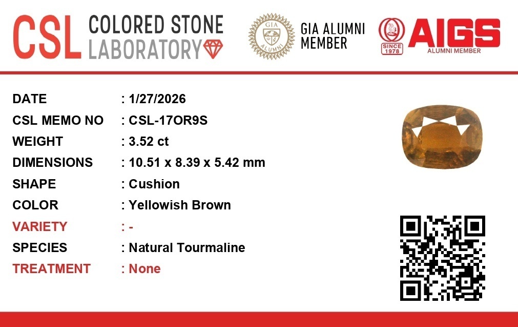 3.52 Ct. Tourmaline from Ceylon (Sri Lanka)