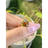 3.52 Ct. Tourmaline from Ceylon (Sri Lanka) Life Style